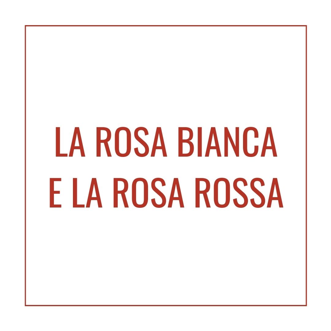 La rosa bianca e la rosa rossa-image